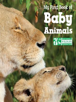 My First Book of Baby Animals - ebook